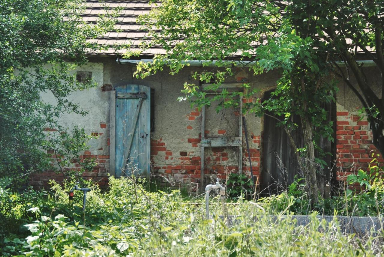 Villa Ferienhaus Erna Doberlug-Kirchhain Exterior foto